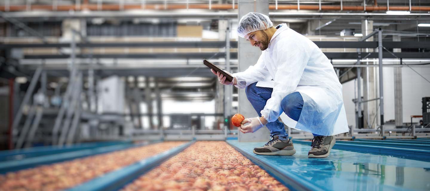 lifood-ueber-uns-header lifood-ueber-uns-header