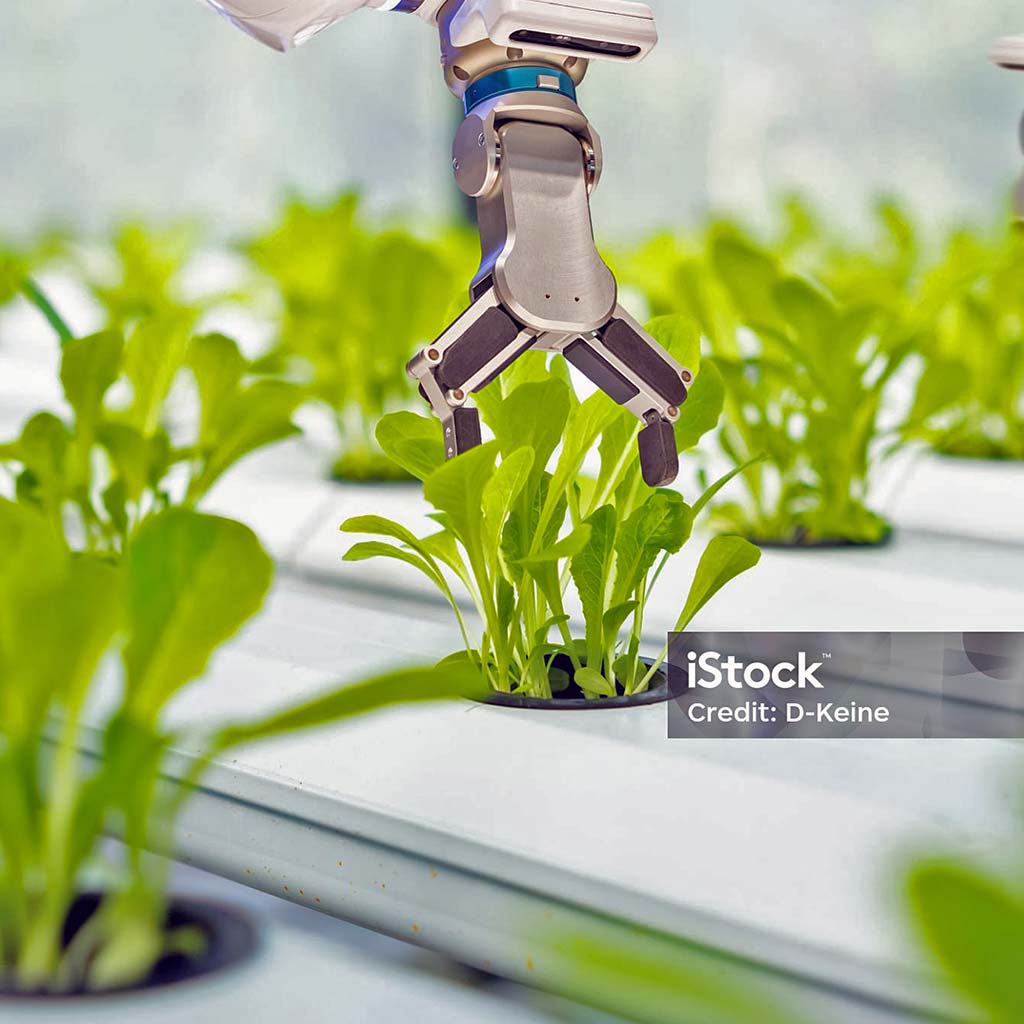 li-food-handlungsfelder-Lebensmittelverarbeitung-content-image