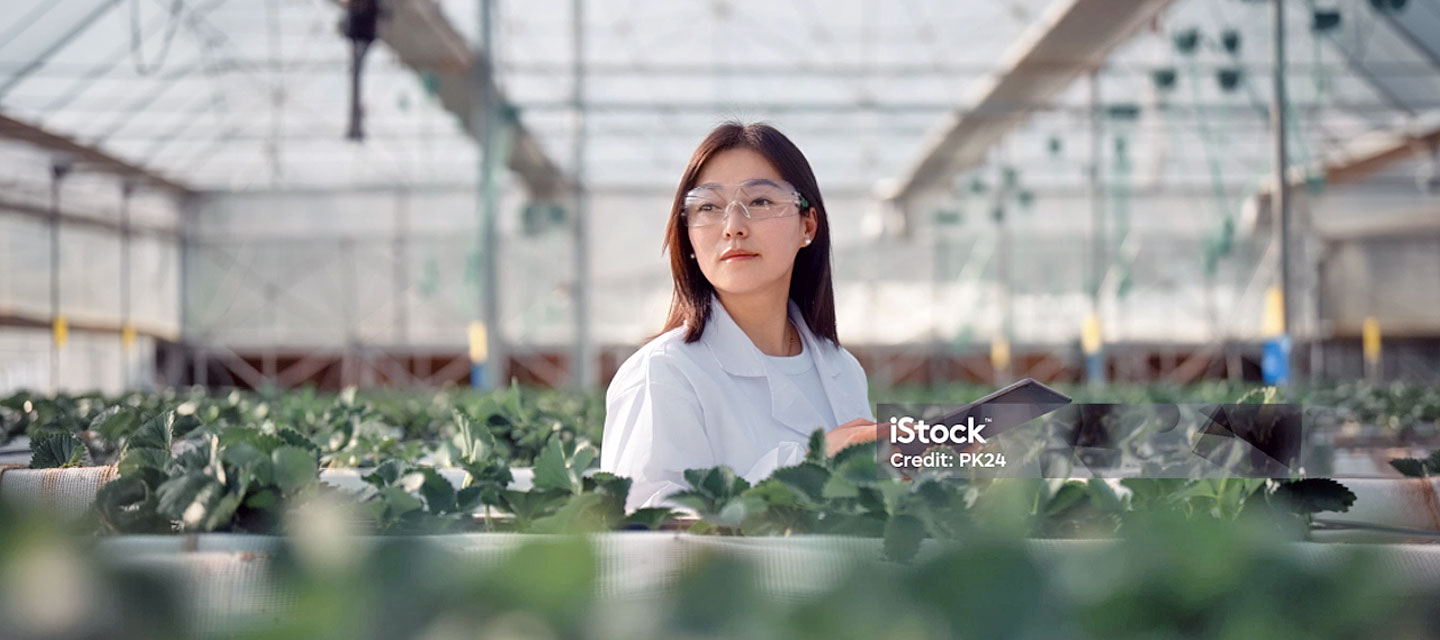 lifood-querschnittsthemen-Entrepreneurship-Agrifood-header